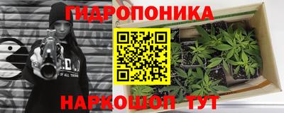 Альфа ПВП Заволжье