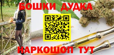 мдпв Заводоуковск